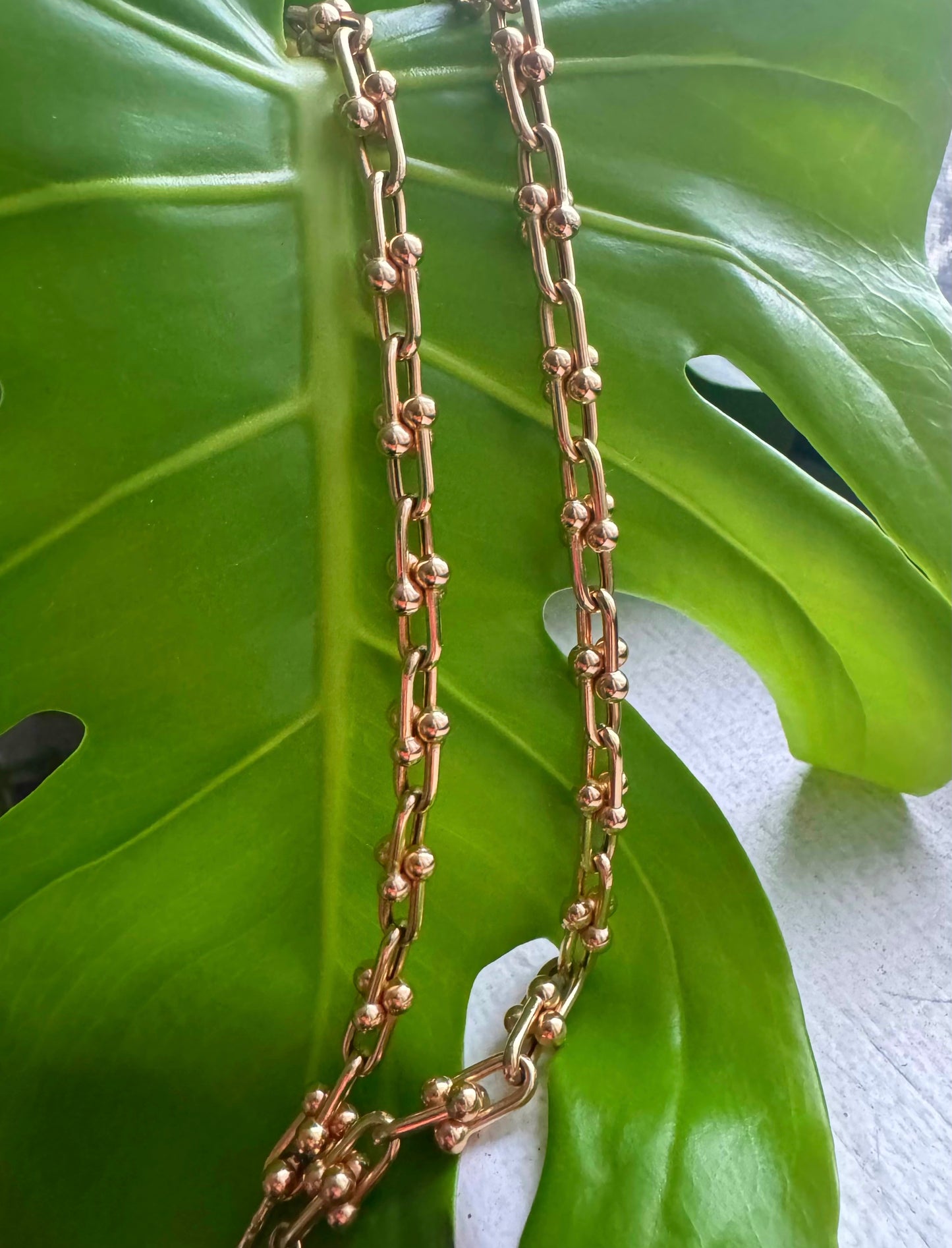 Double Link Chain Necklace