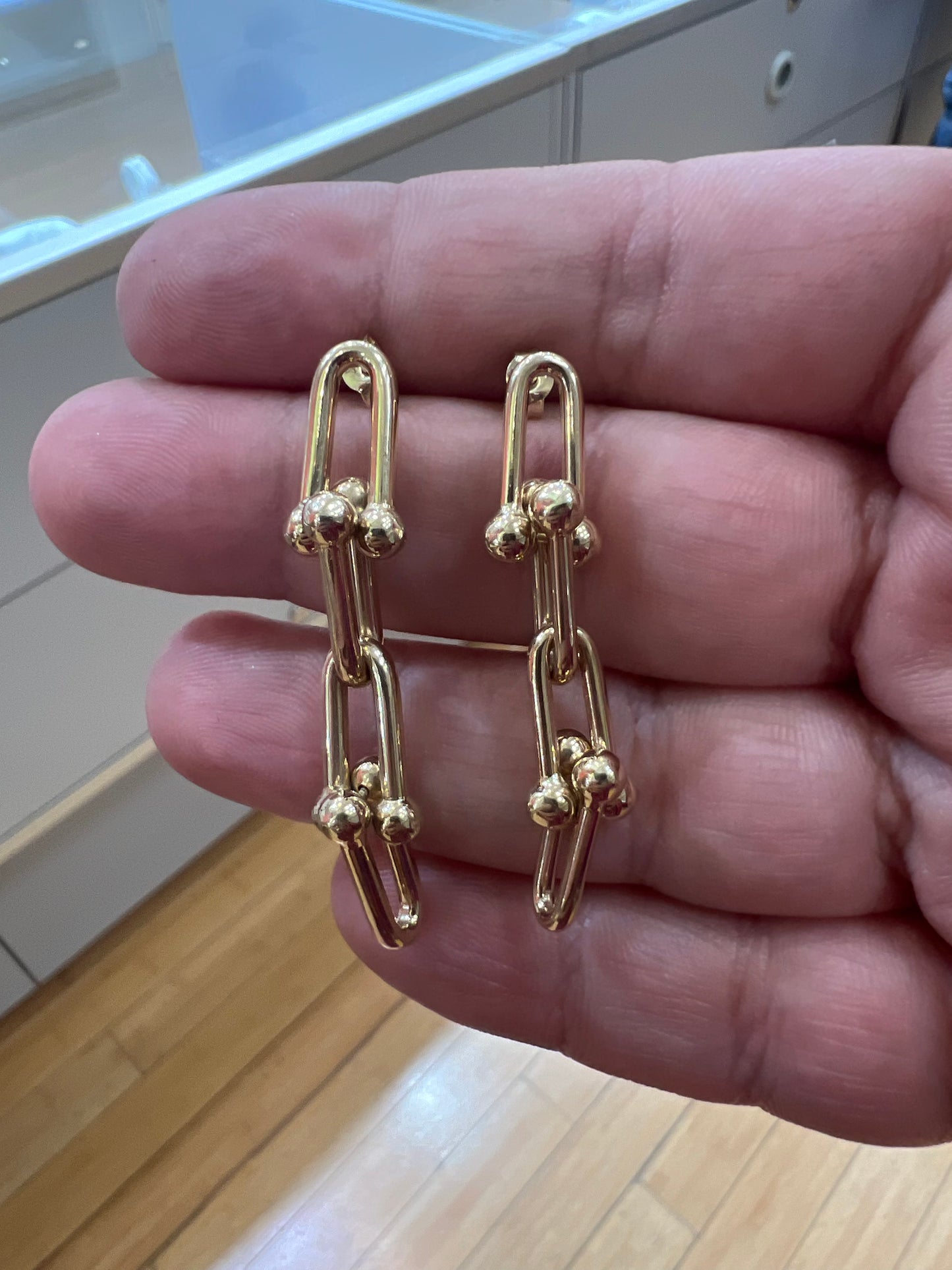Double Link Drop Earring